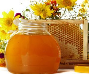 3 найкорисніших властивості меду