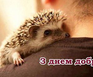 13 листопада — день Доброти! Що потрібно зробити кожному з нас в це свято