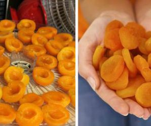 Як правильно зробити курагу з абрикоса в домашніх умовах. Це смачно та корисно