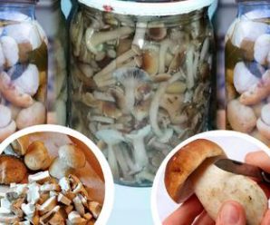 Мариновані гриби: 3 покрокових рецептів для всіх видів грибів. Встигніть запастися
