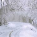 В Україну йдуть сильні снігопади: рятувальники попередили про небезпеку