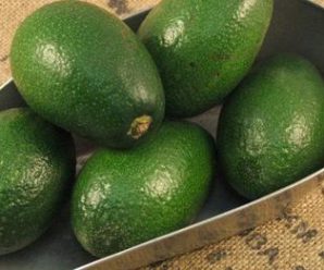 13 причин вживати авокадо щодня. Після прочитання неможливо перестати його їсти