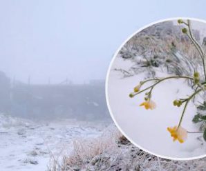 В Україну прийшла зима. Випав перший сніг та вдарив мороз. Де саме це сталося, та чого чекати дальше