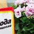 Як за допомогою звичайної соди заставити кімнатні квіти знову пишно квітнути