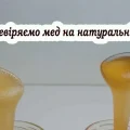 Мед під мікроскопом: як не дати себе обдурити і вибрати справжній продукт