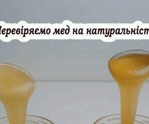 Мед під мікроскопом: як не дати себе обдурити і вибрати справжній продукт