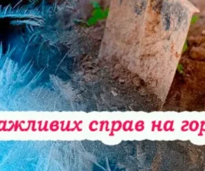 Осіння підготовка городу до зими. 6 важливих справ