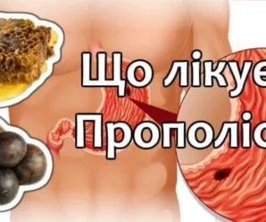 Прополіс – лiкує виразки, допомагає при болях в суглобах і м’язах