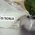 Кілька грамів молока, і ваша орхідея буде гарно та пишно квітнути цілий рік