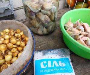 Перед посадкою озимого часнику, обробіть його цим засобом, щоб не хворів