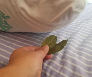 Лавровий лист під подушкою: для гарного сну і захисту від негативу