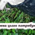 Підживлення плодових дерев восени: прості поради для багатого врожаю