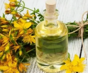 5 рослин із заспокійливою дією на нервову систему — корисні при безсонні, депресії та тривожності