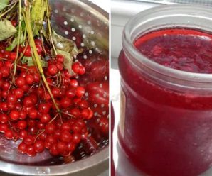 5 смачних та корисних рецептів з калини на зиму