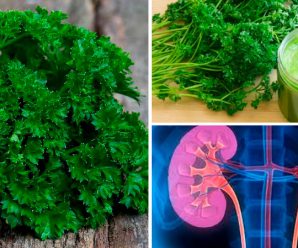 Чай із петрушки: природна користь для вашого здоров’я